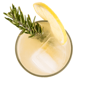 Ginger Bee