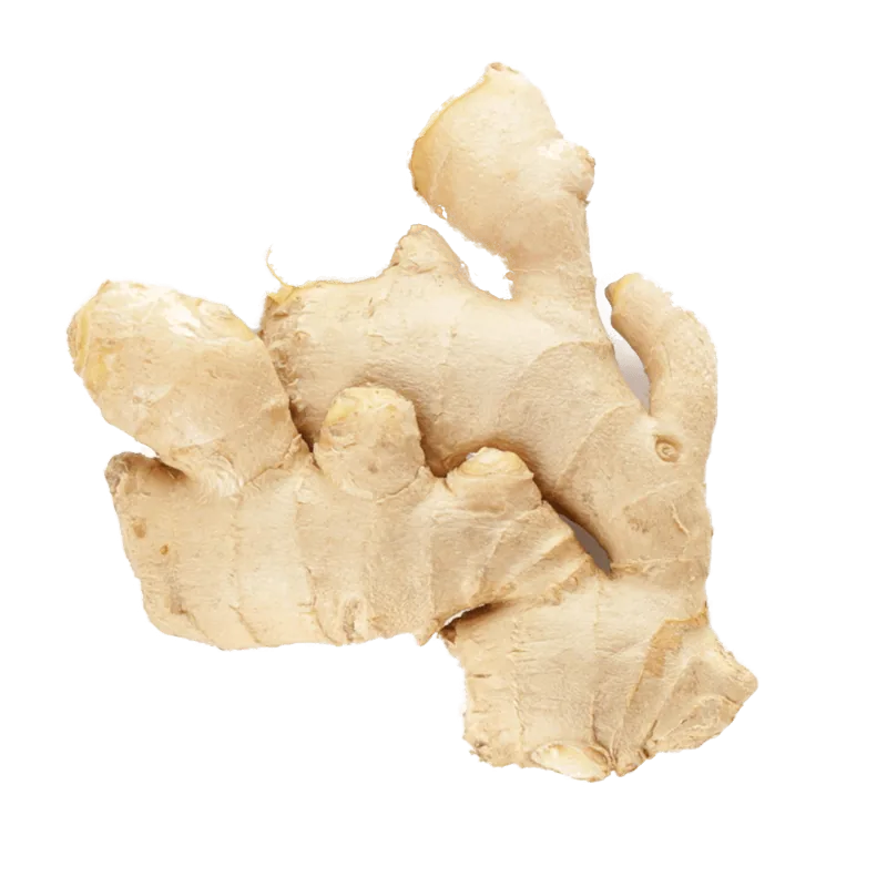 Fresh ginger root