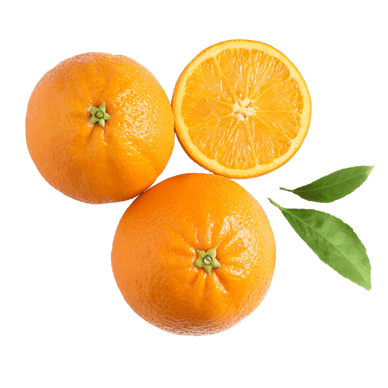 PREMIUM, Real INGREDIENTS